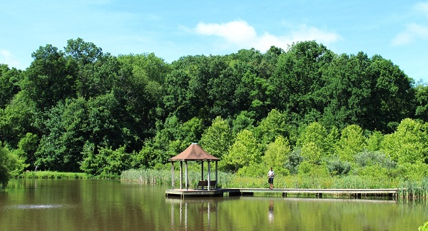 Font Hill Wetland park