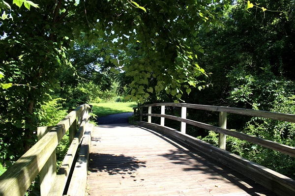 Font Hill Park inner bridge