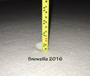 tape measure showing 30-inches of snow