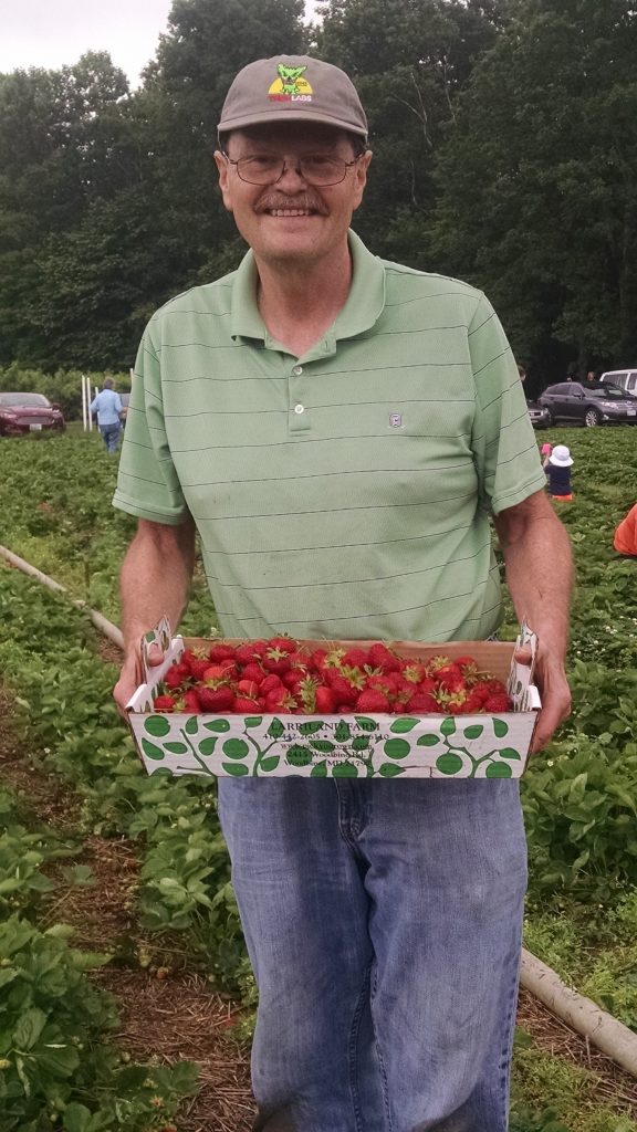 Standing man holding a bunch of strawberries