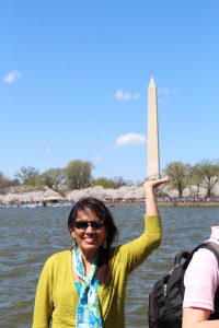 Cherry Blossom view of the Washington Monument