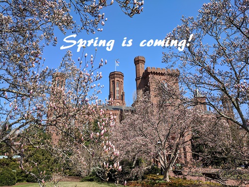 Smithsonian castle in the spring