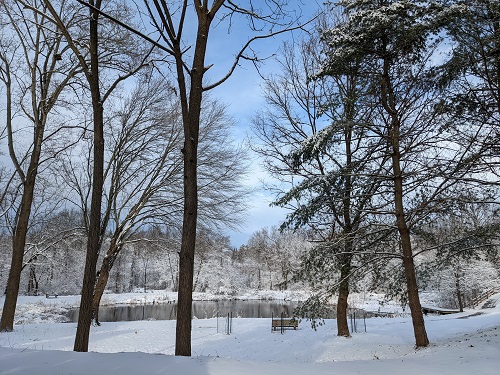 view of park in the winter time