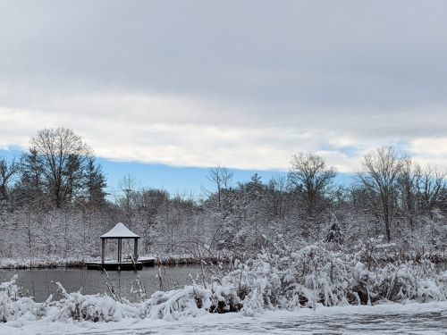 view across a pond in the winter time