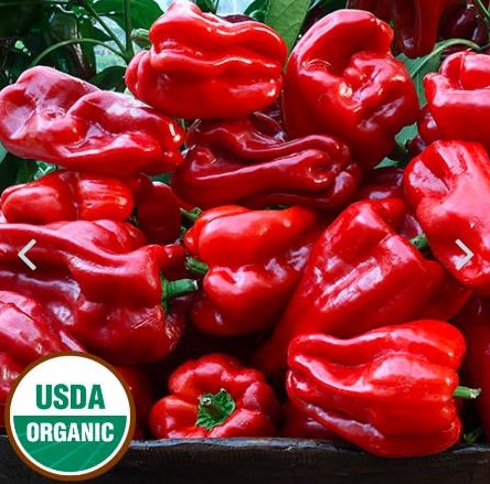 Red Ausilio peppers